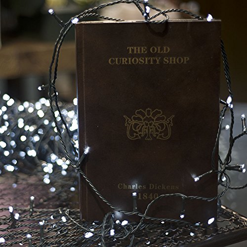 Rpgt 1000 Leds 336Ft Green Cable Wire Fairy String Tree Twinkle Lights 8 Modes For Christmas Party, Outdoor, Garden, Wedding, Home Decoration (White) #TOP5