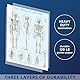 Palace Learning Laminiertes Skelettsystem-Poster, menschliches Skelett-Diagramm, 45,7 x 61 cm (vertikales Layout)