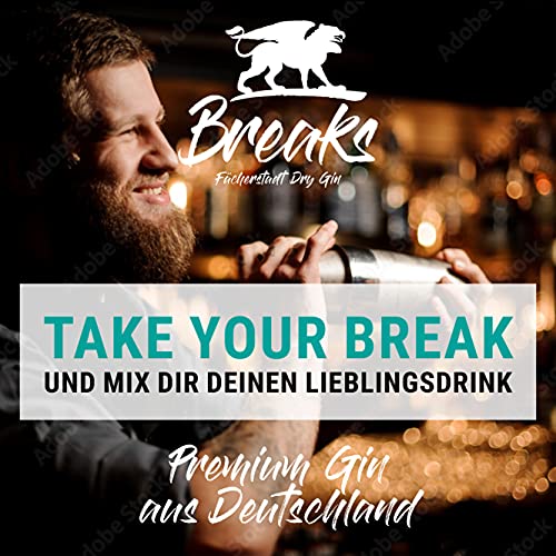 Breaks PREMIUM DRY Gin I London Dry Gin mit Lavendel & frischen Zitronen I Geschmack: Mild mit fruchtiger Note I… – Bild 3