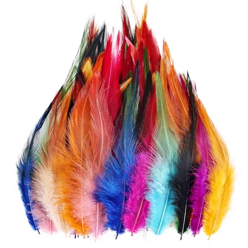 120 plumes 5-7 po pour bricolage, plumes de coq mélange 12 couleurs