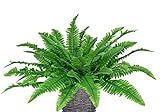 LSKYTOP 4 Pack Artificial Ferns Plants Artificial Shrubs Boston Fern Bush Plant Silk Ferns Leaves UV...