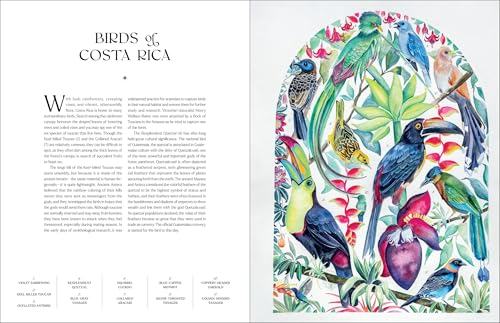Image of The Illuminated Book of Birds