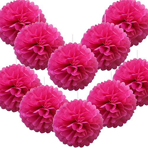 Time to Sparkle 10 Pack Tissue Paper Pompoms Pom Poms Flower Handmade Wedding Party Decorations Balls | Rose, 10(25cm) |