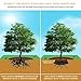 DeepRoot Tree Root Barrier, Tree Circle Weed Barrier, Root Shield for Sidewalks, Driveways, & Patios, 24
