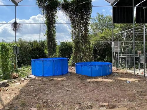 Piscina fuori terra rotonda all'aperto, stagno per pesci in tela da 3-8 piedi, cultura koi e irrigazione agricola, grandi piscine per adulti/bambini