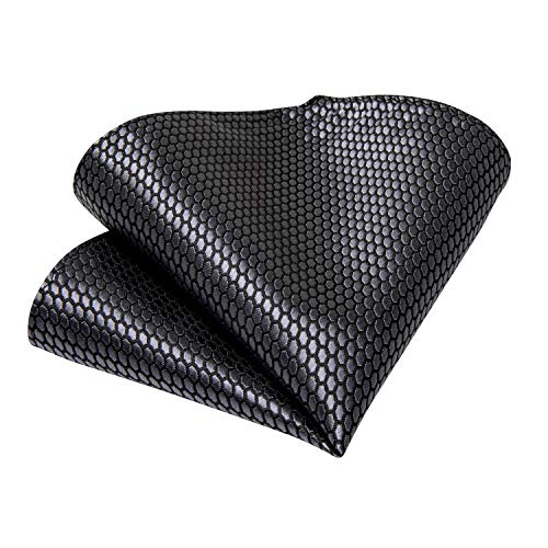 Image of DiBanGu Mens Solid Color Tie and Pocket Square Set Woven Silk Plain Necktie & Handkerchief for Men Wedding Party Formal