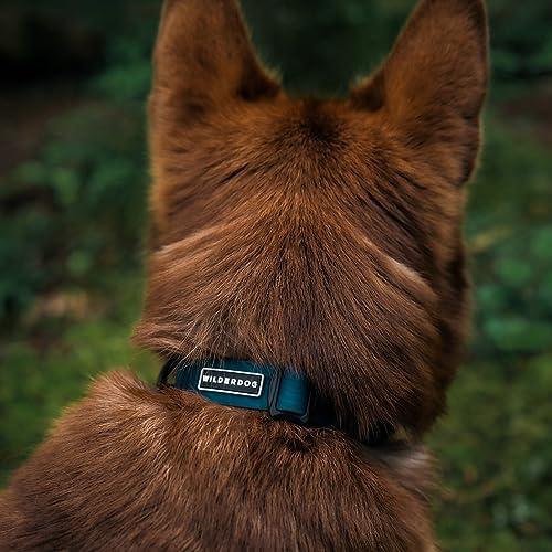 Image of Wilderdog Waterproof Dog Collar - Repels Water & Dirt - Medium 13 inch-18 inch - Pacific Blue