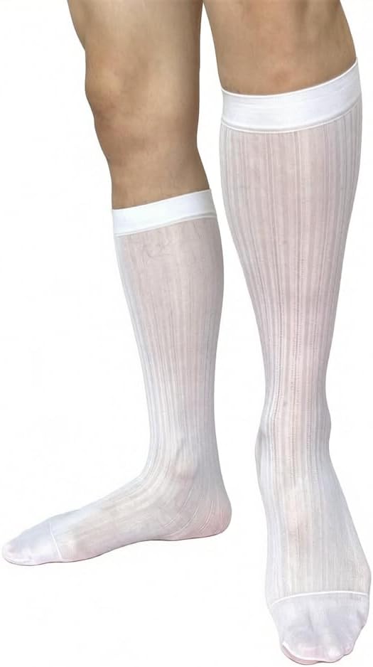 Goobester Men's Sheer Thin Nylon Dot Stripe Business Dress Socks
