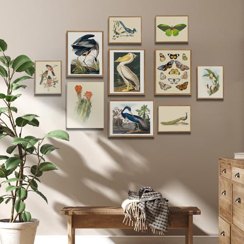 crmotu Floral Botanical Wall Art Set of 3, Cactus Flowers Vintage Wall Decor, Tropical Plant Watercolor Canvas Prints, Minimalist Wall Pictures of Living Room Bathroom Kitchen Farmhouse, 12x16inch
