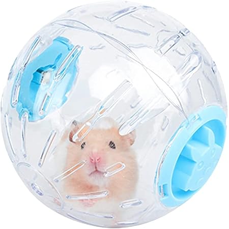 Amazon 小動物ランナーボール ハムスターとマウス 小型動物ハムスター用ハムちゃんのプレイボール 透明 12 5cm Zingyue 飼育ケージ内装 通販