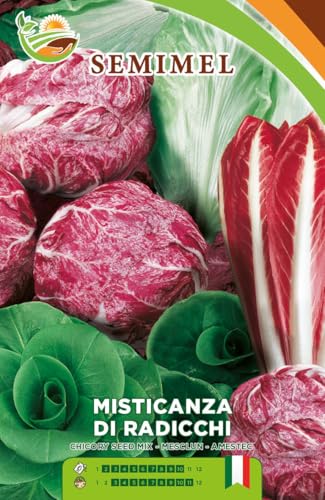 Misticanza di Radicchi e Cicorie - Varietà Medio-Precoce per Insalate, Gusto Assortito e Rivegetazione Rapida 2 confezioni