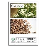 Caraway Herb Seeds (Carum carvi) – 250+ Non-GMO & Heirloom Seeds for Planting, Aromatic Culinary Herb with Flavorful Seeds, by Isla’s Garden Seeds, Great Home Garden Gift Idea
