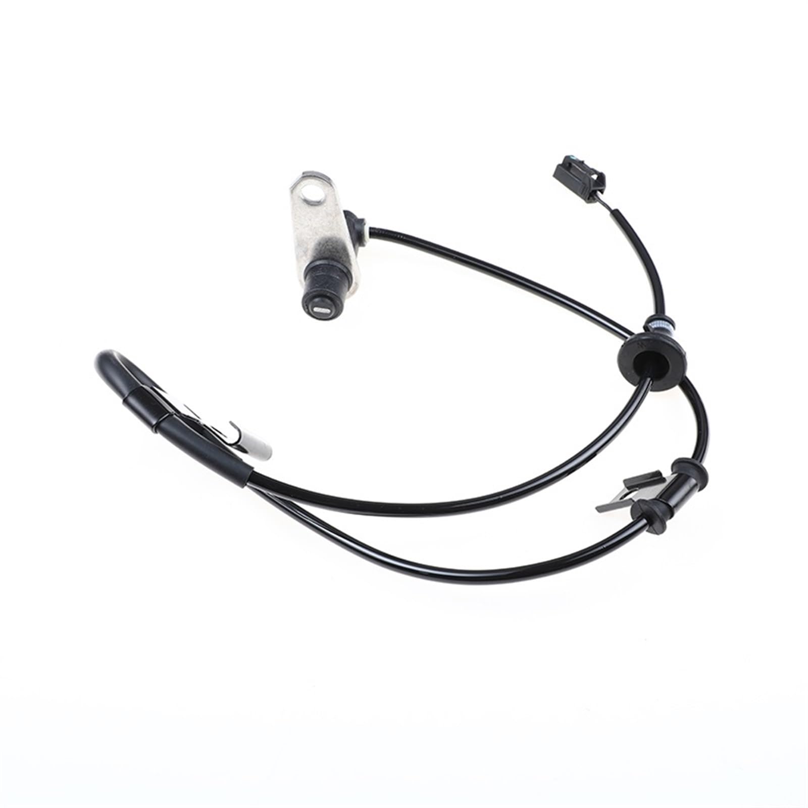 田Ｅ IMG20241029141441.jpg?v=