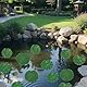 12 Stück Künstliche Lotusblätter,Realistische Seerosen Pads,Schwimmende Seerosenblätter aus Schaumstoff,Lilien Pads Ornament,Dekorative Teichpflanzen für Zuhause Garten,Teich, Pool, Terrasse Aquarium