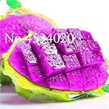 Sump Fresh 100pcs SEMILLAS de fruta de Pitaya para plantar Amarillo claro