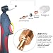 PERFETSELL Consumibles para Cortadora de Plasma 20pcs Plasma Boquilla Extendido 10pcs Electrodos...