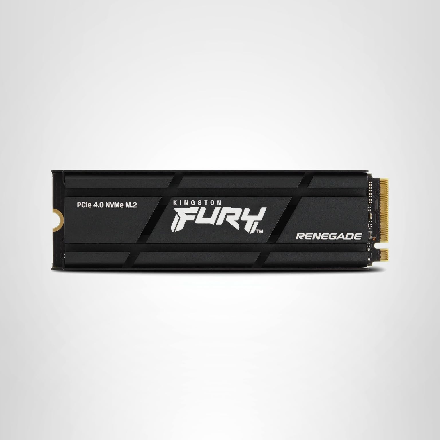 Amazon.com: Kingston Fury Renegade 1TB PCIe Gen 4.0 NVMe M.2