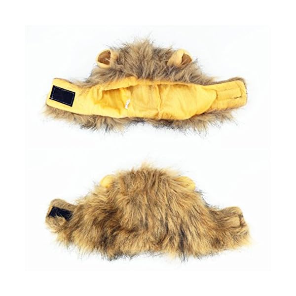 Idepet dog cat lion mane - realistic funny lion mane for dogs - complementary lion mane hat for dog cat costumes,halloween lion mane costume for cat & dog (cat lion mane) - image 6