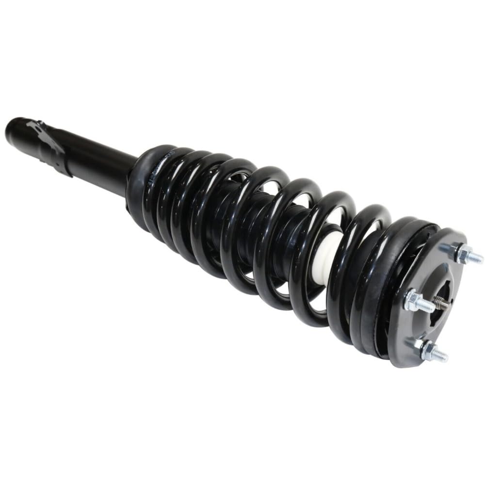 Amazon.com: Pidanida 2 Pieces Front Side Strut & Springs& 