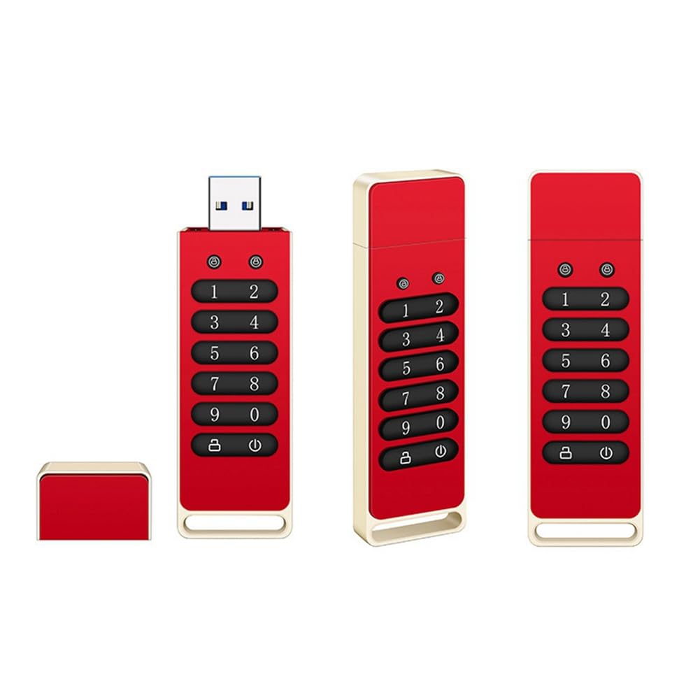 1 Chiavetta USB Crittografata con Chiavetta USB con Password Hardware e Tastiera USB 3.0 Disco Flash da 32 GB