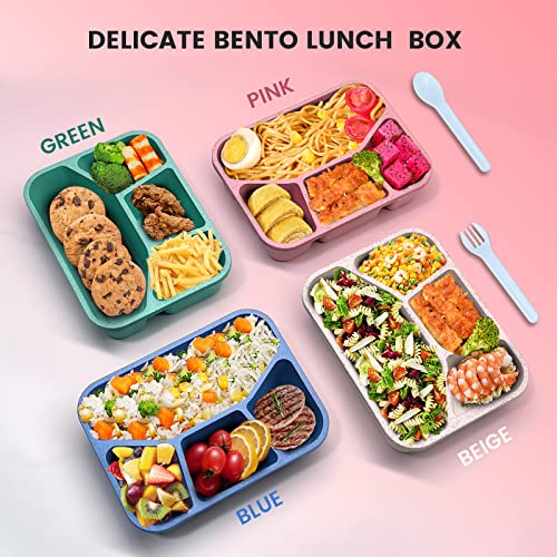 Shalory 4 Pack Bento Lunch Box For Kids,4 Compartment Divided Meal Prep Sncak Container,Freezer Microwave And Dishwasher Safe Food Storage,Reusable Bento Adult Lunch Box For School Work Travel #TOP4