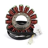 Ce stator de moto est fait de matériaux de stratification de la plus haute qualité, de haute performance et durable.