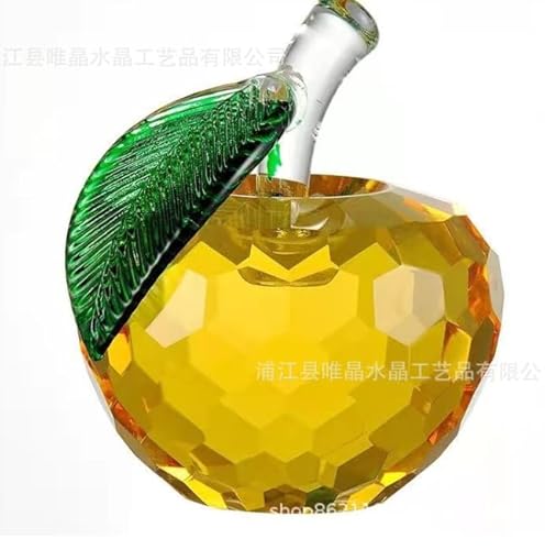 [YILILK] S NX^ u NX^[U[ CeA  TLb`[ Mtg Abv {bNXt (F) [sAi]