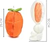 Özgüner Toy Strawberry Pillow Rabbit Plush - Refillable, Bag, Big Ears (Carrot)