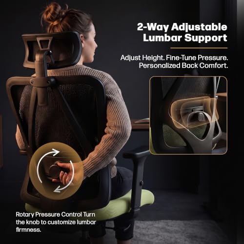 Image of DROGO Ergonaut Ergonomic Office Chair for Work from Home | Computer Chair with 2D Headrest, Armrests & Adjustable Lumbar Support | Breathable Mesh with 120 Recline, 1-Year Warranty (Black & Green)