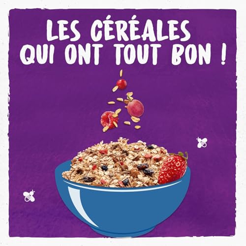 Muesli Superfruits BJORG d'exception avec cranberries et framboises bio - 4