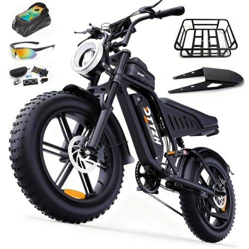 2000W Electric Bike for Adults