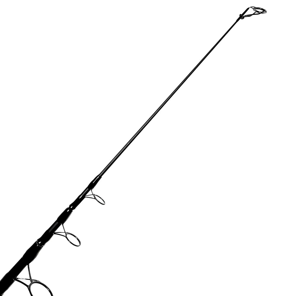 カープクエスト　FANG-T 10f/3.0lb カープロッド　2本セット Amazon | CarpQuest FANG-T Ver.GS 12ft 3.5lb 鯉釣り 日本