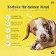 Animal House – Büffelhörner für Hunde – 100% natürlich, kaubar – Stärkt die Mundhygiene – Stark und langlebig – In Allen Größen erhältlich – Tierversuchsfrei (1, S)
