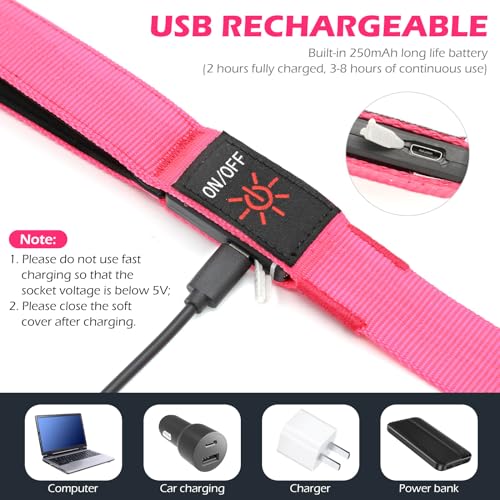 LED Hundeleine, Bpawser Light Up Hundeleine Micro USB wiederaufladbar, Nylon Gurtband leuchtende Sicherheit Standard Hundeleinen für Hunde 120 cm 4 Fuß (Rosa)