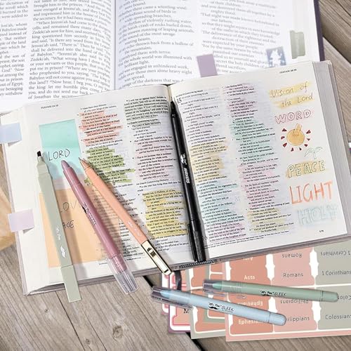 Notes collantes en écriture et onglets de la Bible pour offrir aux passionnés