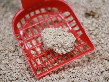 Amazon | ドイツの猫砂 キャッツエコ 4袋 5L(約2.25kg)/袋