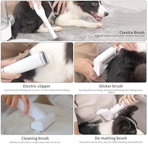 Redkey C100 Dog Grooming Kit Vacuum - 2.5L Large Capacity Pet Hair Remover Shedding Brush 5-in-1 Groomer at Home with 4 Clippers Quiet 60dB Deshedding 12kPa Auto Cutting Machine Set for Cat Redkey C100 Dog Grooming Kit Vacuum 25L Large Capacity Pet Hair Remover Shedding Brush 5 in 1 Groomer at Home with 4 Clippers Quiet 60dB Deshedding 12kPa Auto Cutting Machine Set for Cat