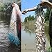 XYHTPP 6'X100' Finished Trammel Fishing Net 3 Layers Fishing Gill Net Seine Net for Fishing at Sea, Lake, River