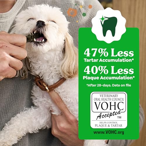 Image of Greenies Regular Natural Dental Dog Treats, Pumpkin Spice Flavor, 12 Count | Veterinarian-recommended, dogs 25-50 lbs, cleaner teeth after 28 days, limited edition, 12 oz. pack