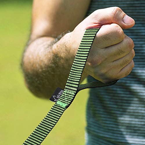 Image of Hi Kiss Dog /Puppy Obedience Recall Training Agility Lead - 15ft 20ft 30ft 50ft 100ft Training Leash - Great for Training, Play, Camping, or Backyard(15ft,Black Green)