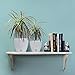 Santino, Self Watering Planter Deco 6.7 Inch, Jade, Indoor Decorative Flower Pot with Drainage Cartridge and Water Level Indicator