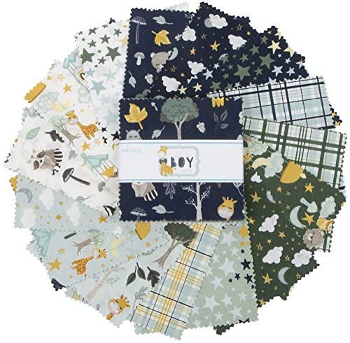 It's A Boy Riley Blake 5-Inch Stacker, 42 Precut Fabric Quilt Squares By Echo Park Paper #TOP2