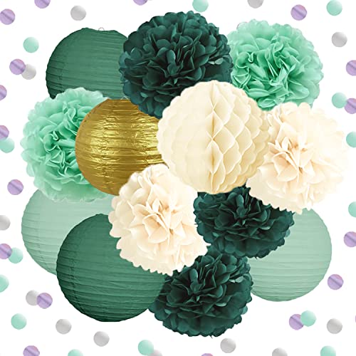 YBwanli 15pcs Pompon Papier de Soie，decoration mariage champetre,lanternes Chinoises,Papier Crepon,Confettis,decoration bapteme fille,decoration bapteme，Nuances haut de gamme pour la fête ultime