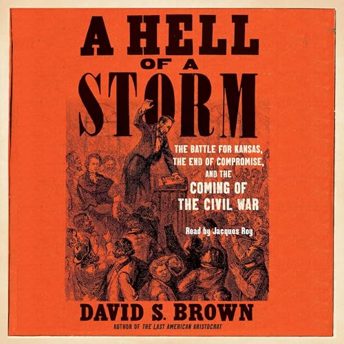 A Hell of a Storm by David S. Brown episode artwork