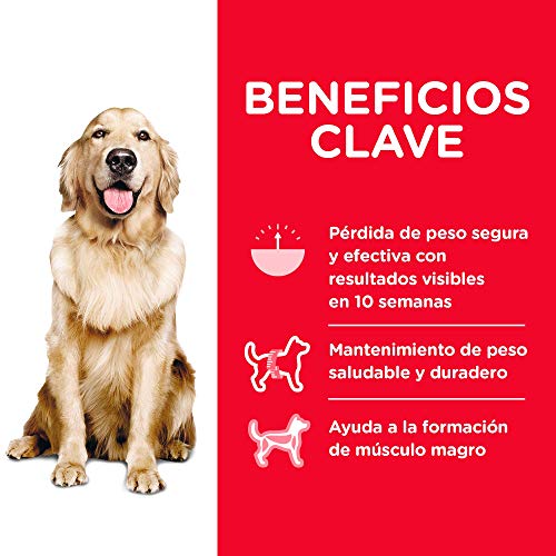 Hill's Science Diet Perfect Weight, Adult 1-6, Weight Management Support, Dry Dog Food, Chicken Recipe, 25 lb Bag - Image 6