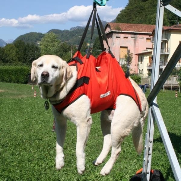 Taxi/Emergency Harness