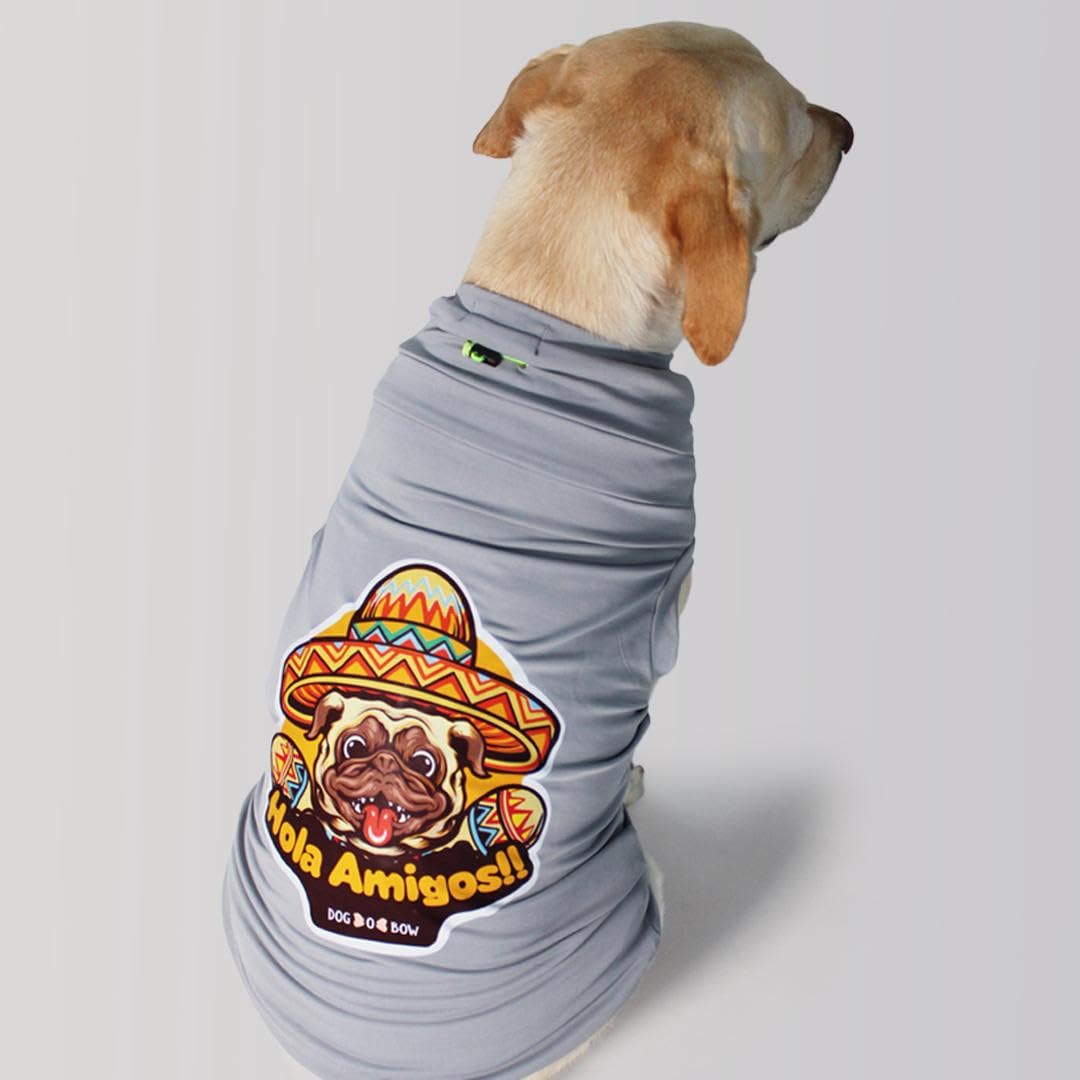 See full amazon price history chart for DOG-O-BOW Hola Amigos Printed T-Shirt for Dogs & Cats (18) DOG-O-BOW Hola Amigos Printed T-Shirt for Dogs & Cats (18) (B0D2DNXHNS) Amazon Price History, Amazon Price Tracker