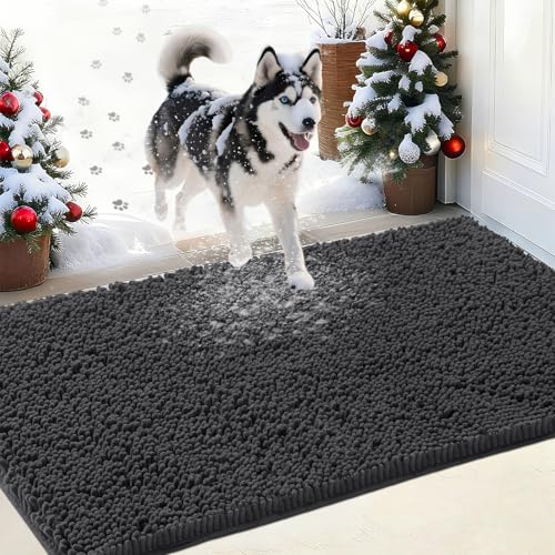 IM HOME Chenille Absorbent Outdoor Doormat