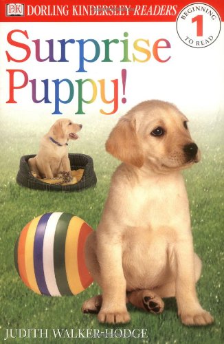 DK Readers L1: Surprise Puppy [Paperback] Judith Hodge