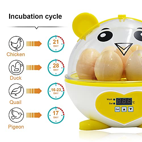 PAIDUOJI Home Use Incubator Automatische Temperaturregelung Digitale Mini Ei Schlüpfen Automatische Temperaturregelung… – Bild 4